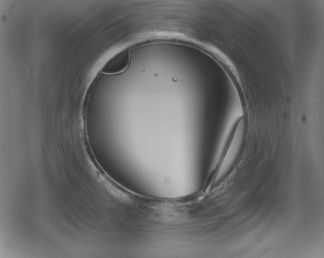 X0000078891287200611131220