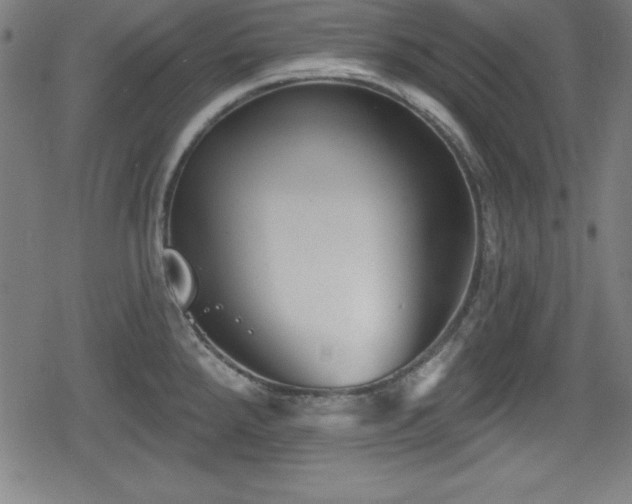 X0000078891288200611131220