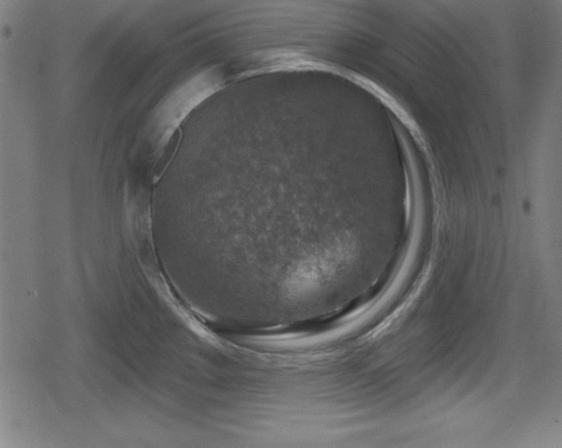 X0000078891289200611131220