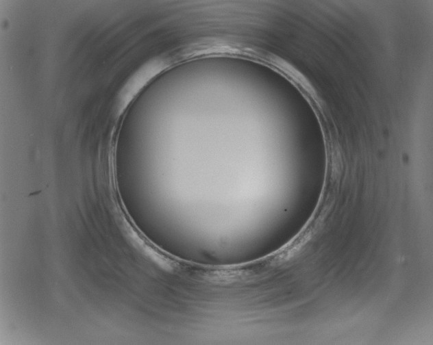 X0000078891290200611131220