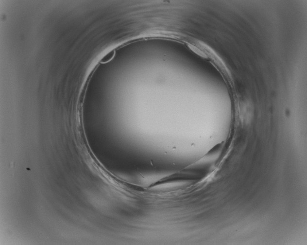 X0000078891292200611131220