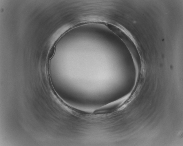 X0000078891293200611131220