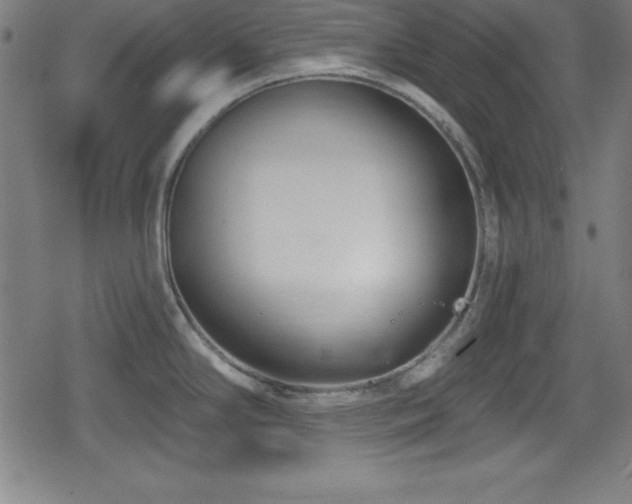 X0000078891294200611131220