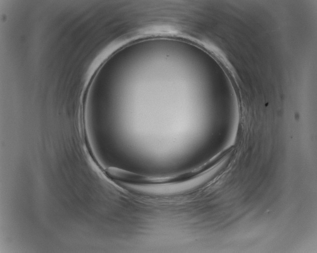 X0000078891295200611131220