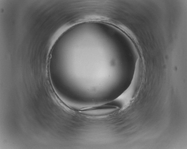 X0000078891296200611131220