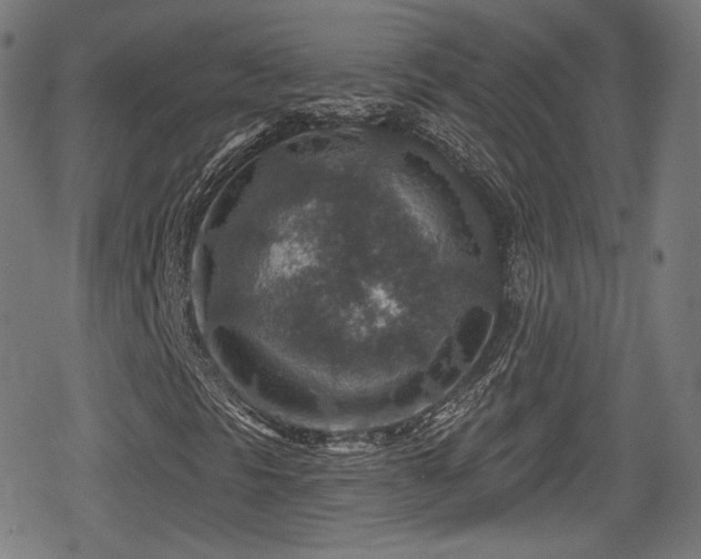 X0000078891297200611131220