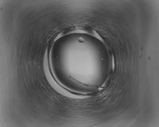 X0000078891298200611131220