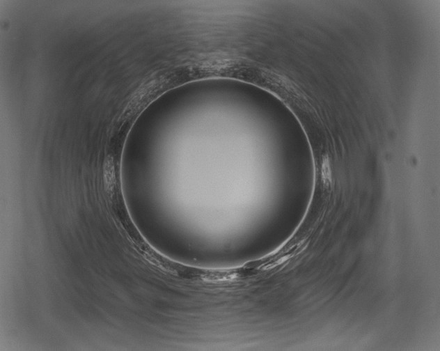 X0000078891299200611131220