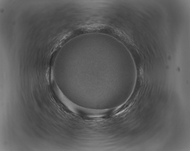 X0000078891300200611131220