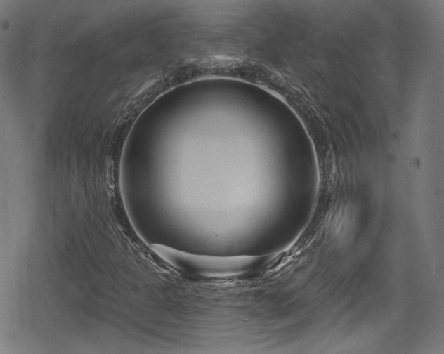 X0000078891301200611131220