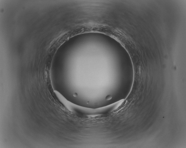 X0000078891302200611131220