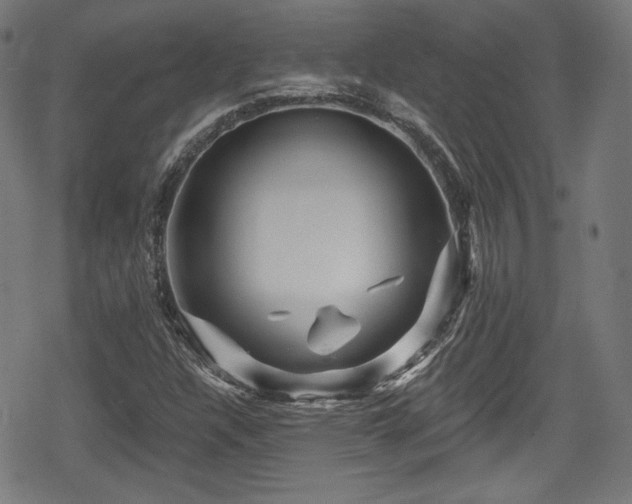 X0000078891304200611131220