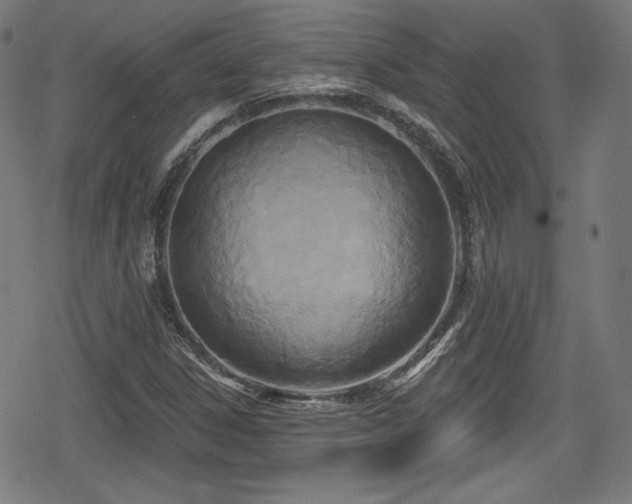 X0000078891306200611131220