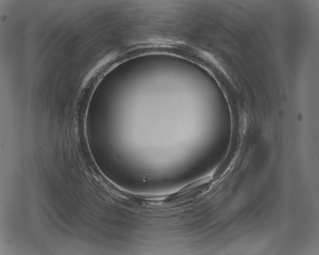 X0000078891307200611131220