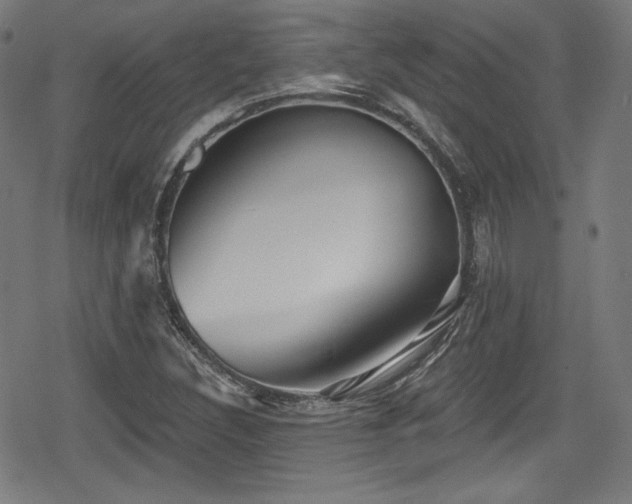 X0000078891308200611131220