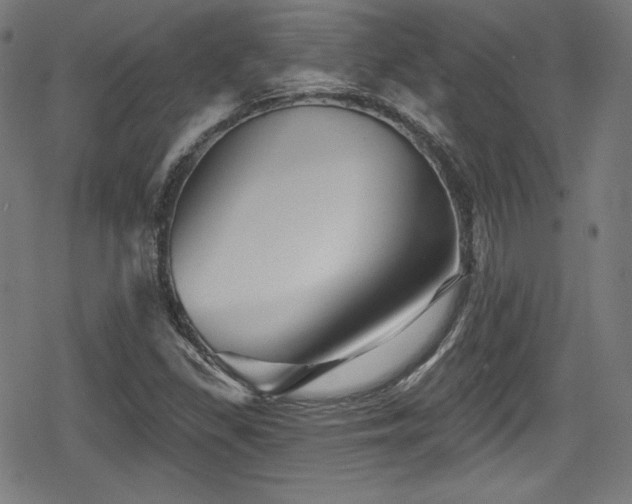 X0000078891309200611131220