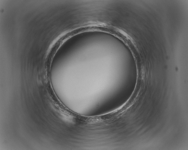 X0000078891310200611131220