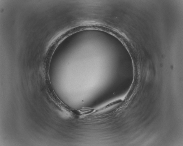 X0000078891311200611131220