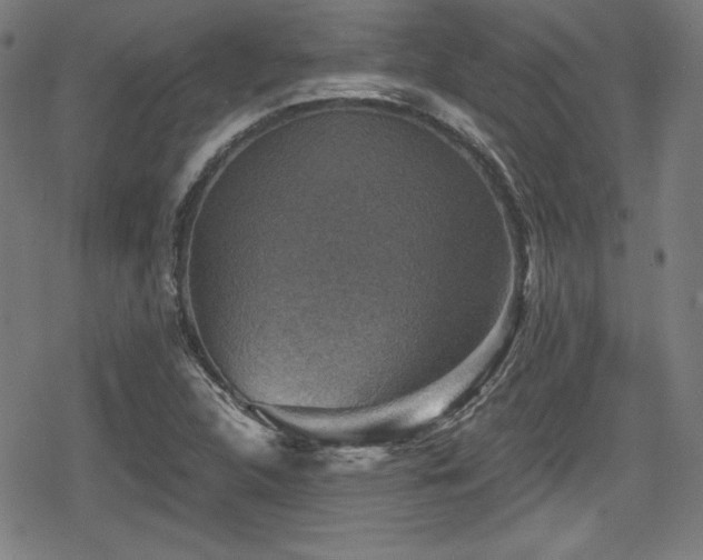 X0000078891312200611131220