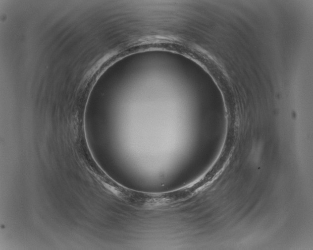 X0000078891313200611131220