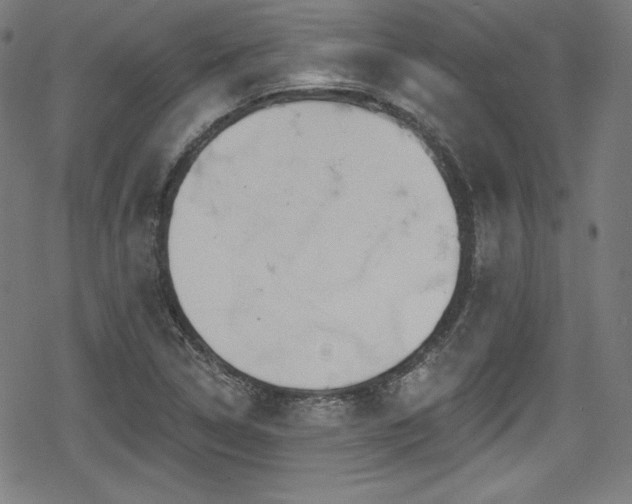 X0000078891314200611131220