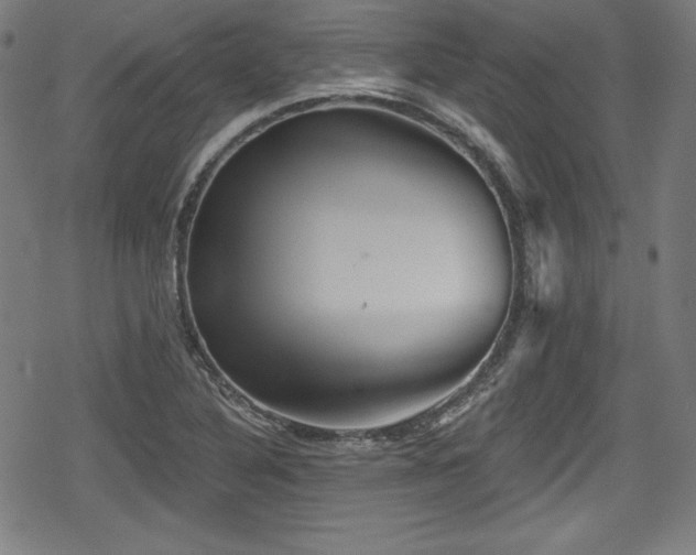 X0000078891316200611131220