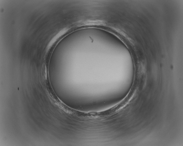 X0000078891317200611131220