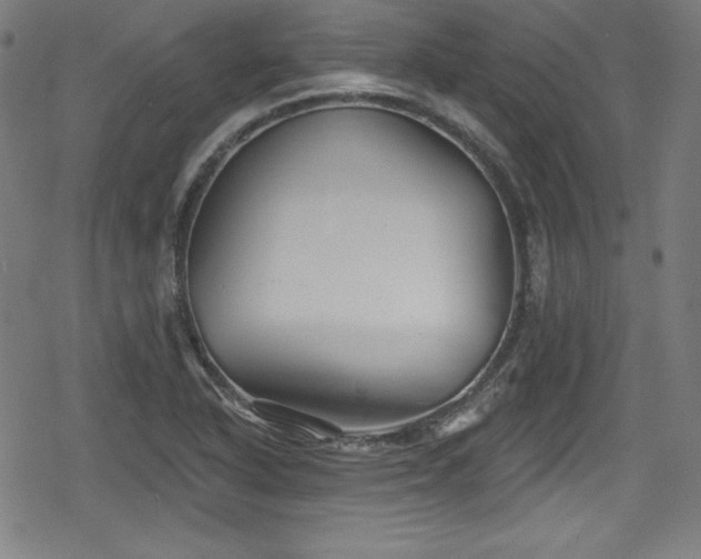 X0000078891318200611131220