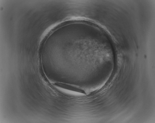 X0000078891319200611131220