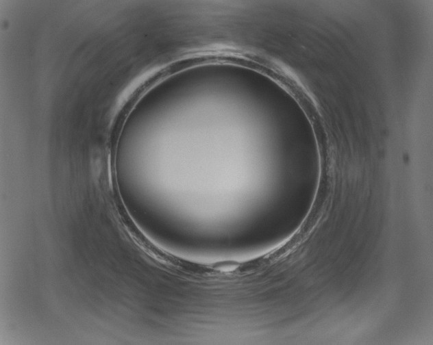 X0000078891320200611131220