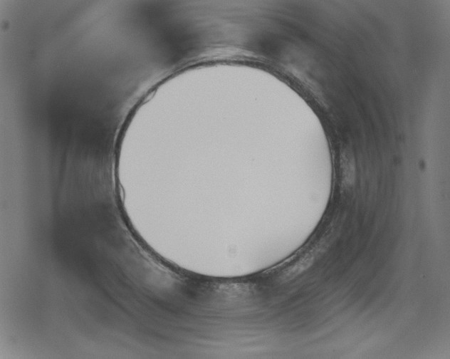 X0000078891322200611131220