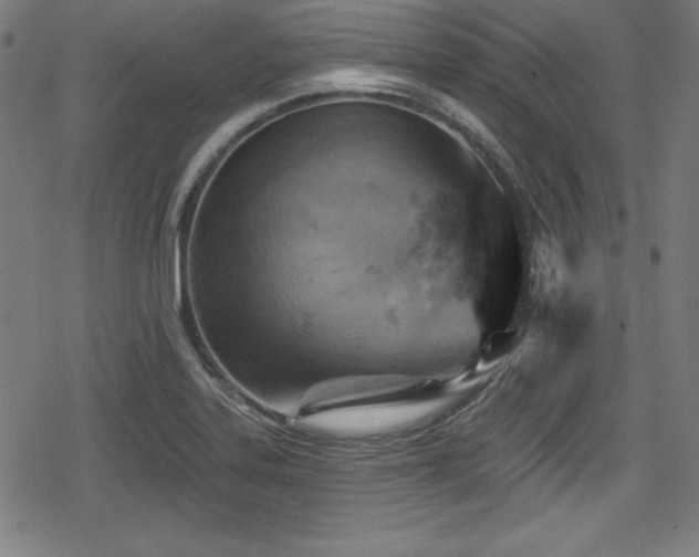 X0000078891323200611131220