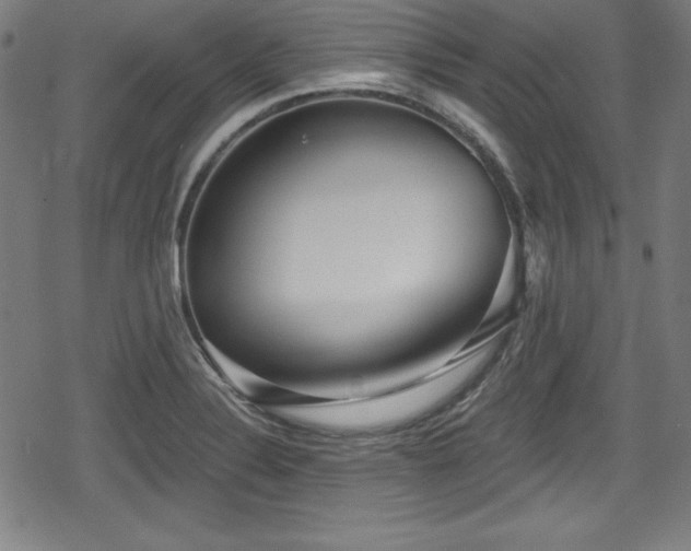 X0000078891324200611131220