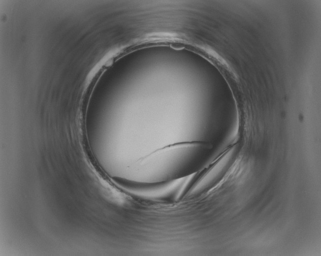 X0000078891325200611131220