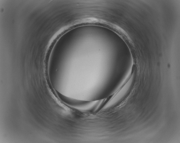 X0000078891326200611131220