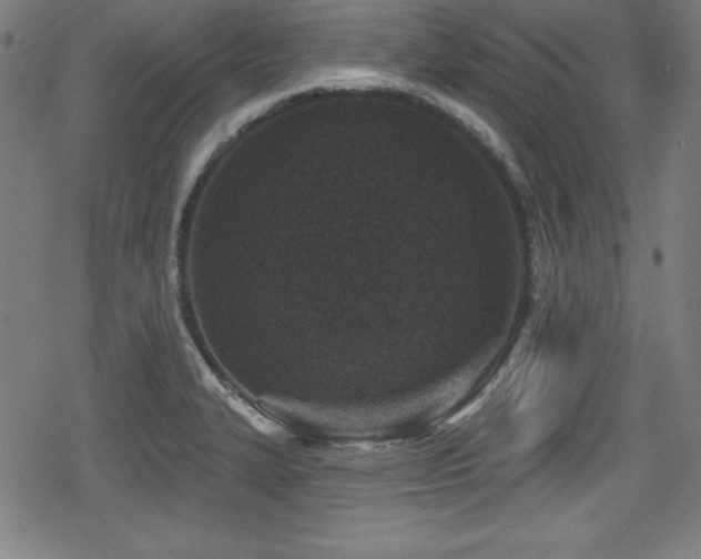 X0000078891327200611131220