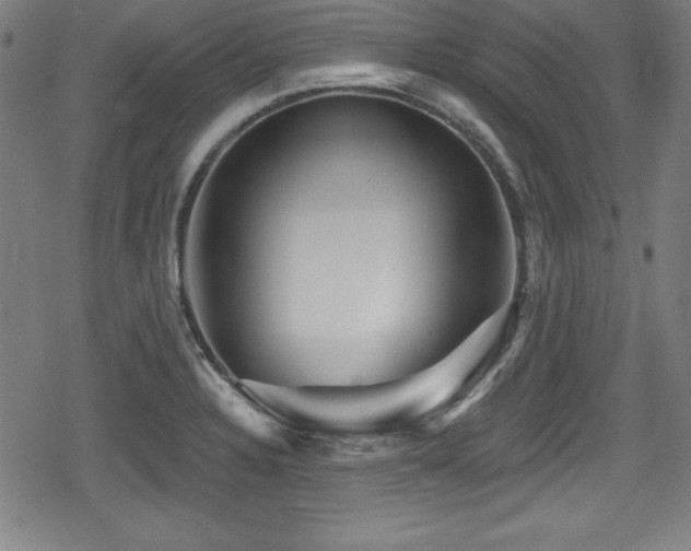 X0000078891328200611131220