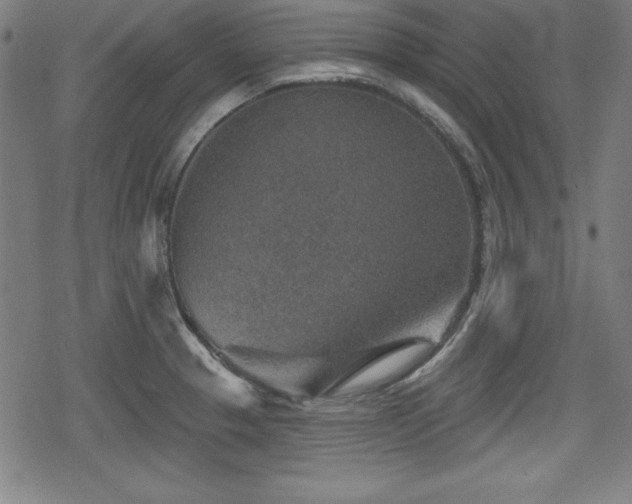 X0000078891329200611131220