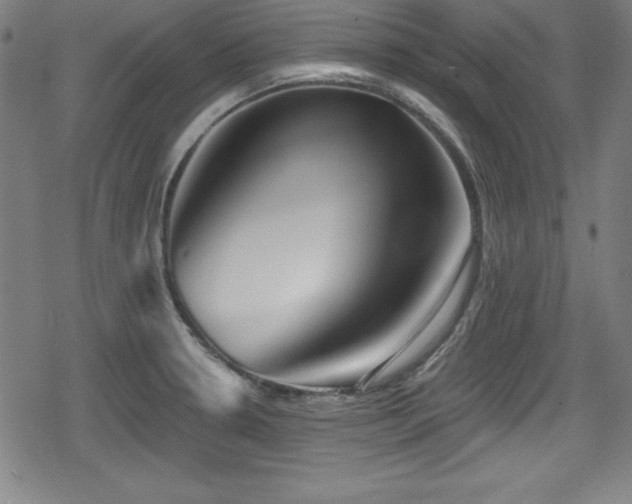 X0000078891330200611131220