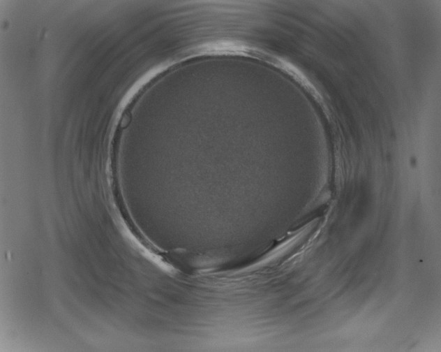 X0000078891331200611131220