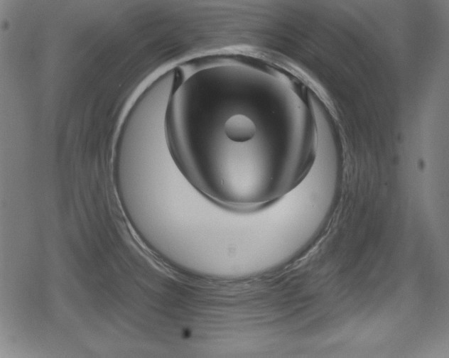 X0000078891332200611131220