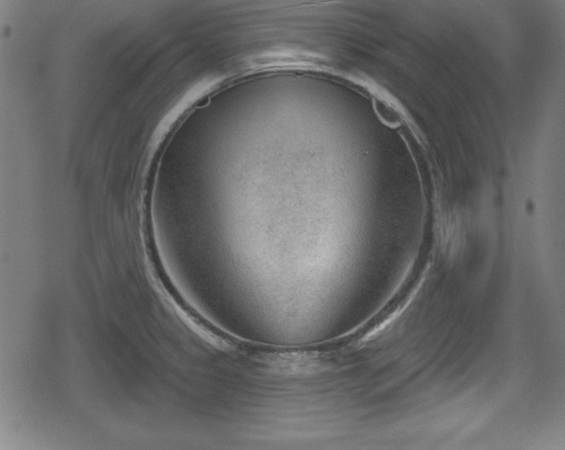 X0000078891333200611131220