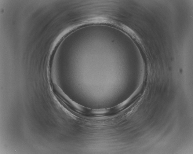 X0000078891334200611131220