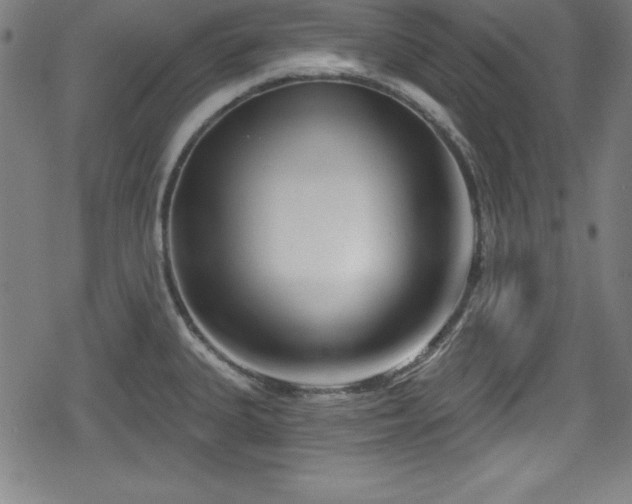 X0000078891335200611131220