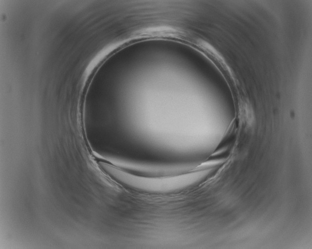 X0000078891336200611131220