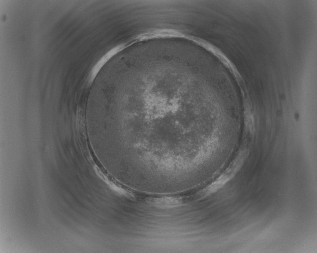 X0000078891337200611131220