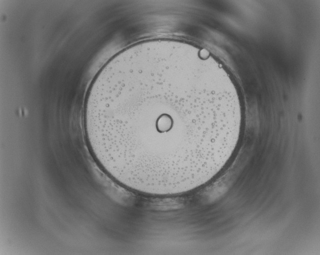 X0000078891338200611131220