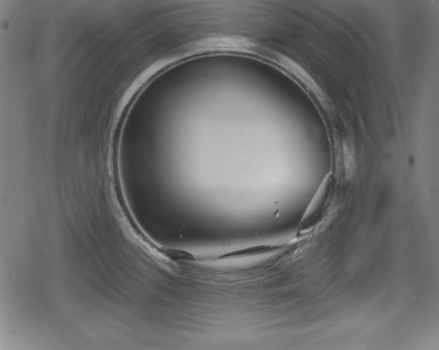 X0000078891339200611131220