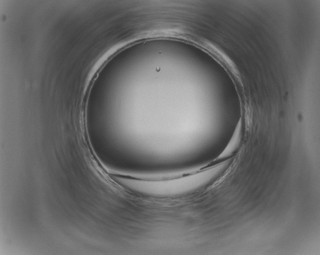 X0000078891340200611131220