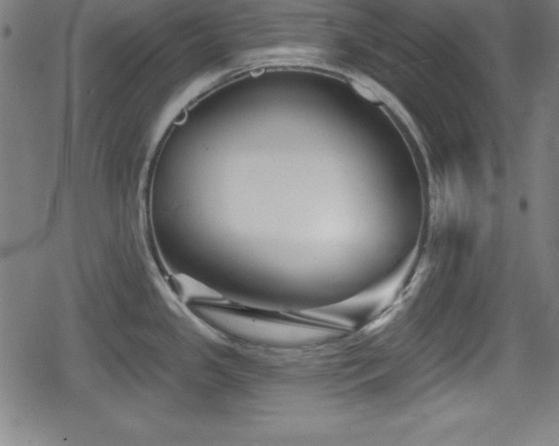 X0000078891341200611131220